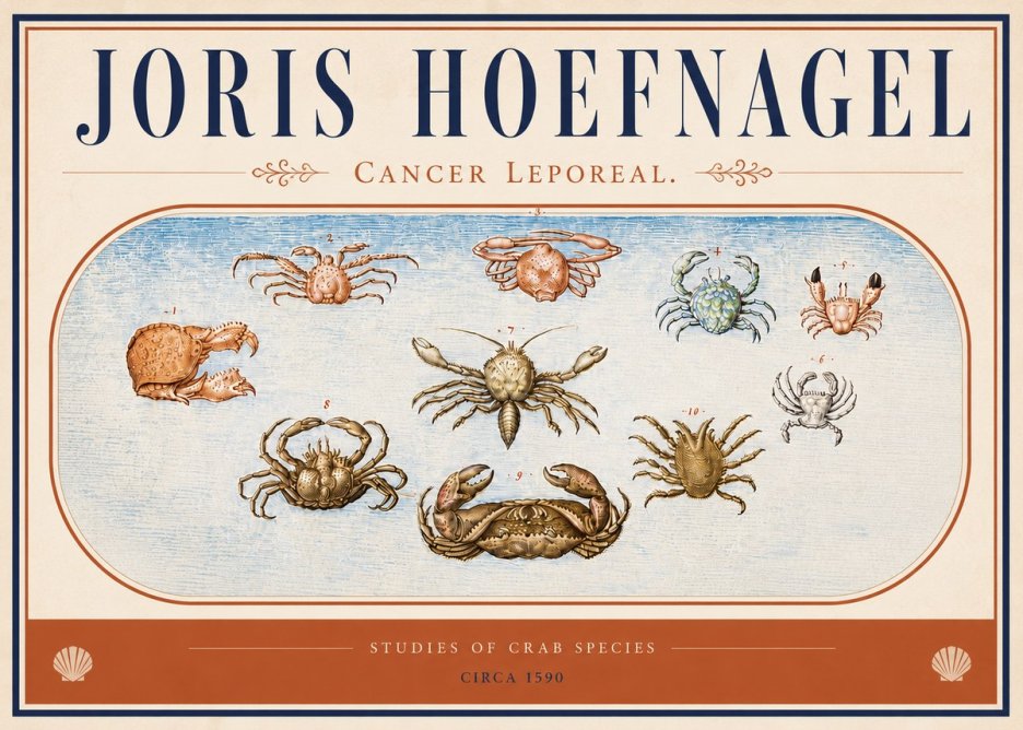 Joris Hoefnagel Cancer Leporeal. No4 - Plakát