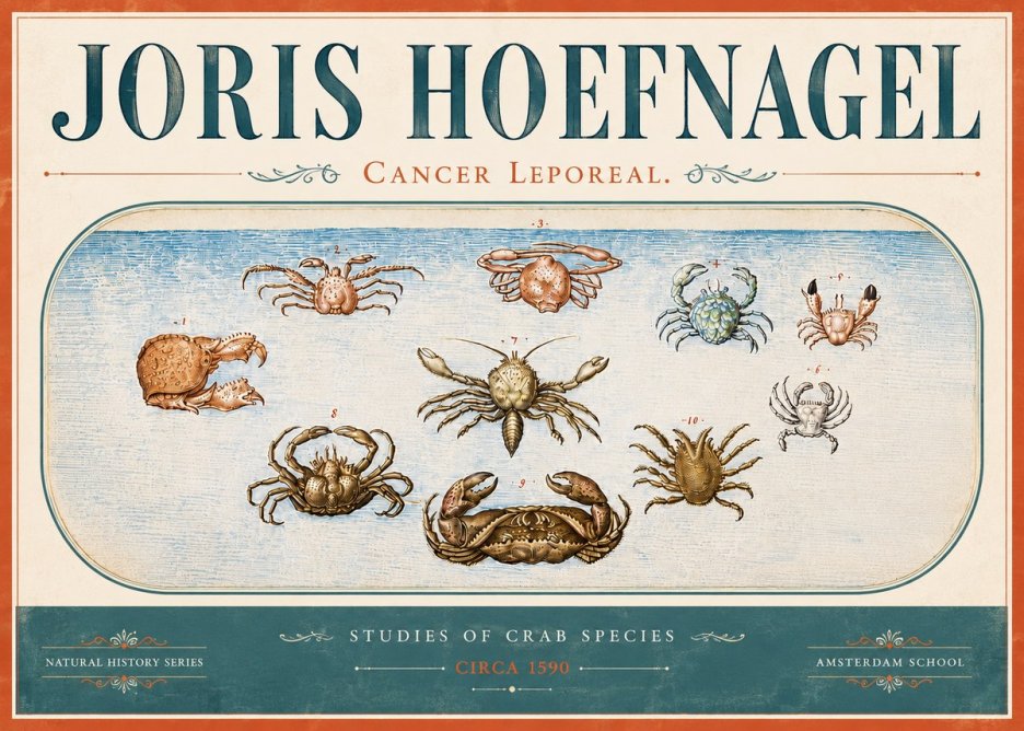 Joris Hoefnagel Cancer Leporeal. No6 - Plakát