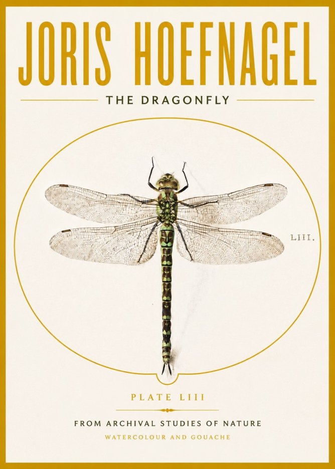 Joris Hoefnagel The Dragonfly No4 - Plakát