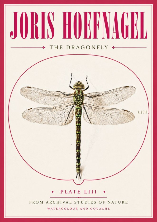 Joris Hoefnagel The Dragonfly No5 - Plakát