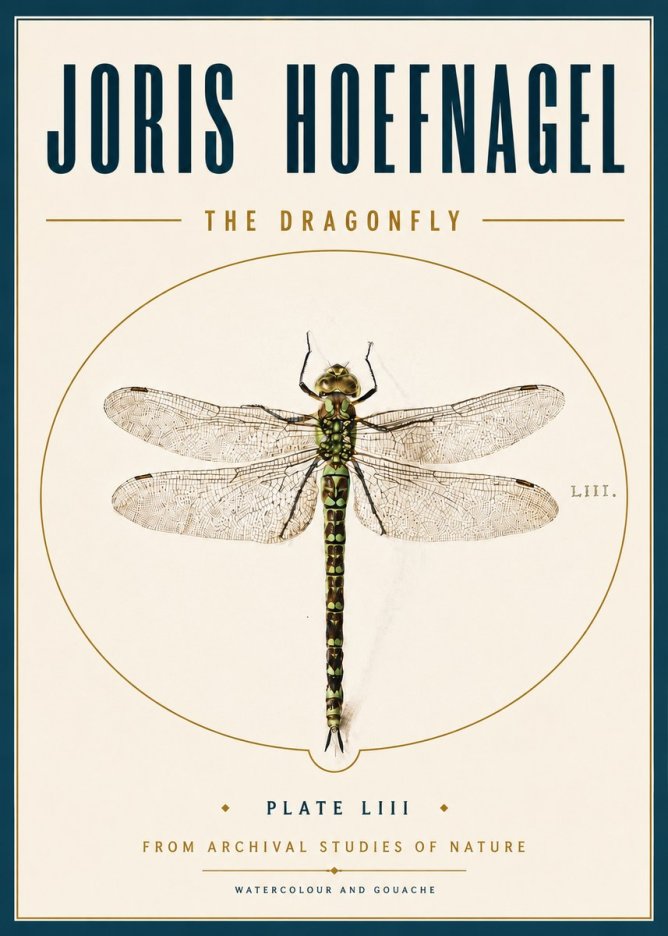 Joris Hoefnagel The Dragonfly No6 - Plakát