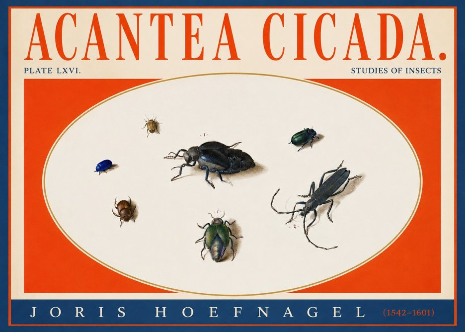 Joris Hoefnagel Acanthia Cicada No4 - Plakát