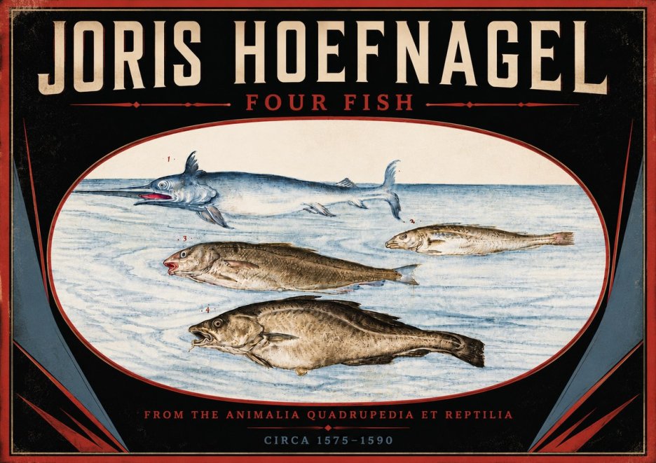 Joris Hoefnagel Four Fish No5 - Plakát