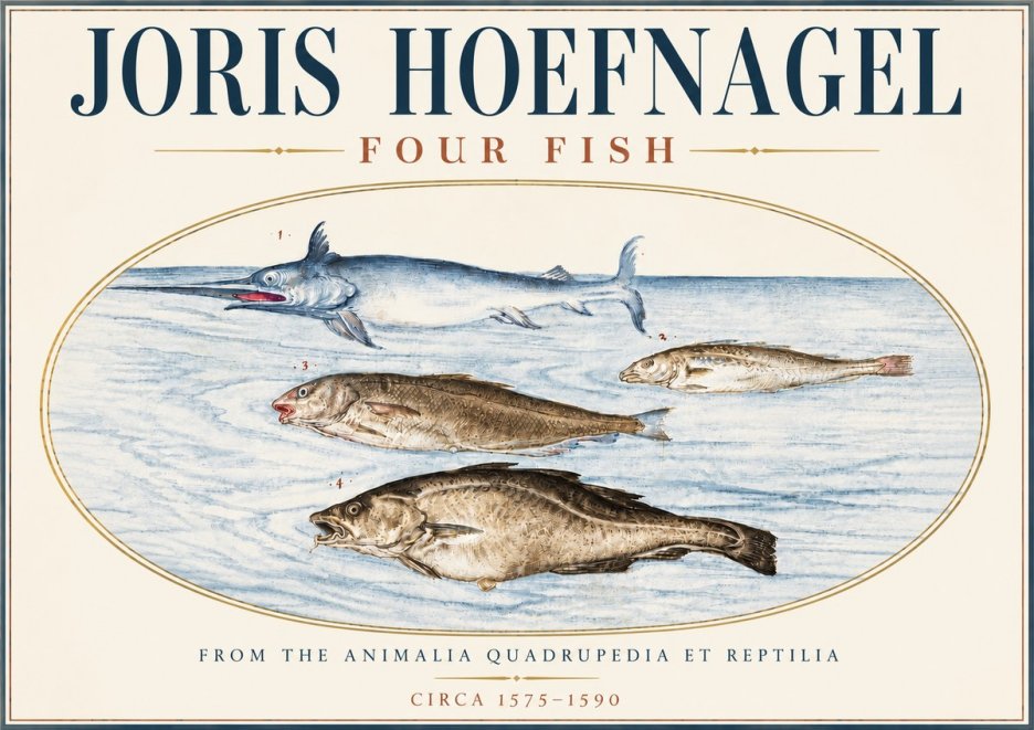 Joris Hoefnagel Four Fish No6 - Plakát