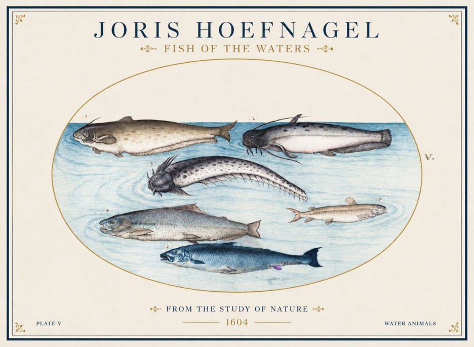 Joris Hoefnagel Fish of the Waters No1 - Plakát