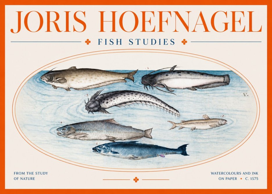Joris Hoefnagel Fish of the Waters No3 - Plakát