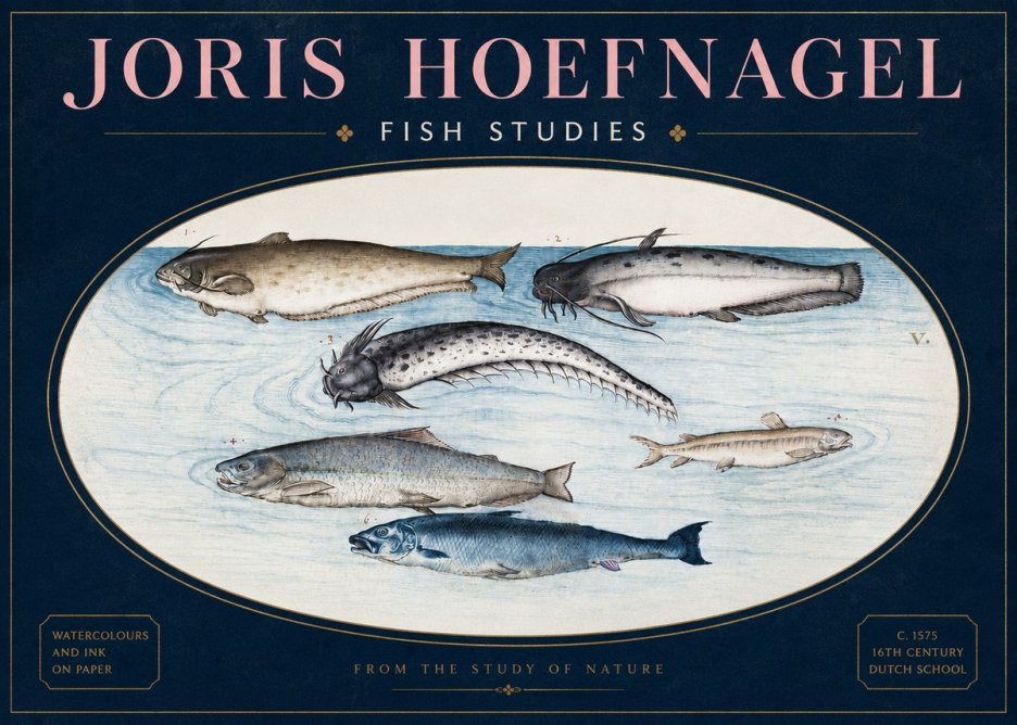 Joris Hoefnagel Fish of the Waters No4 - Plakát