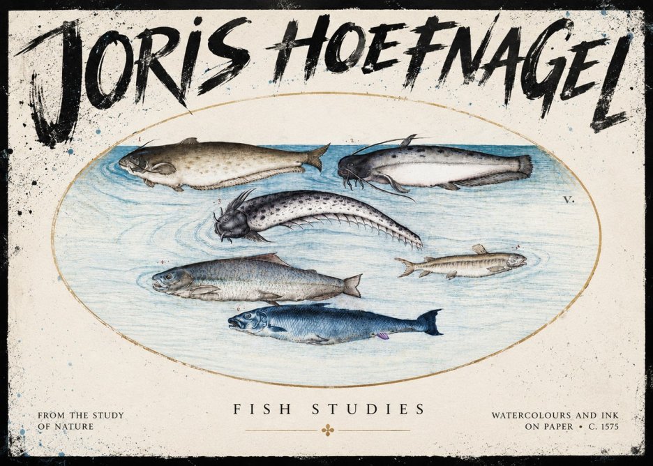 Joris Hoefnagel Fish of the Waters No5 - Plakát
