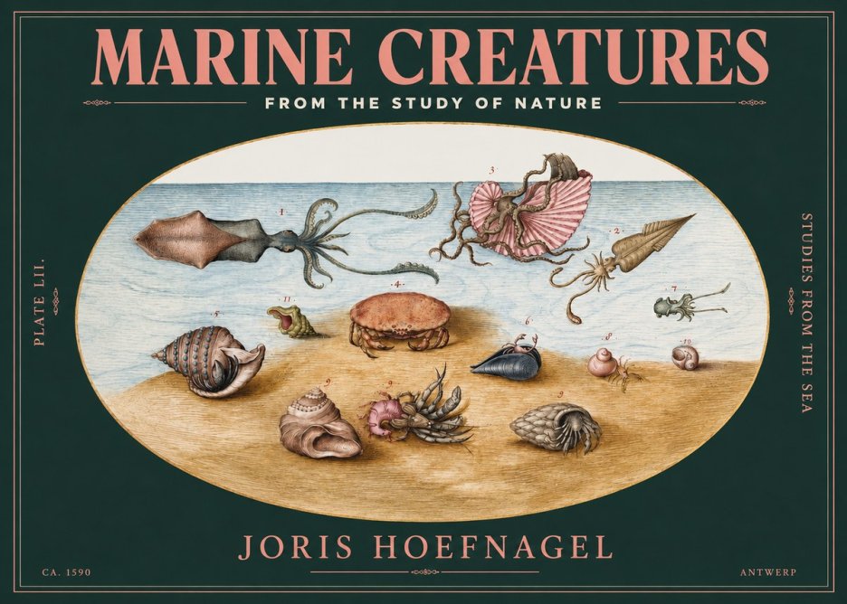 Joris Hoefnagel Marine Creatures - Plate Lii No3 - Plakát
