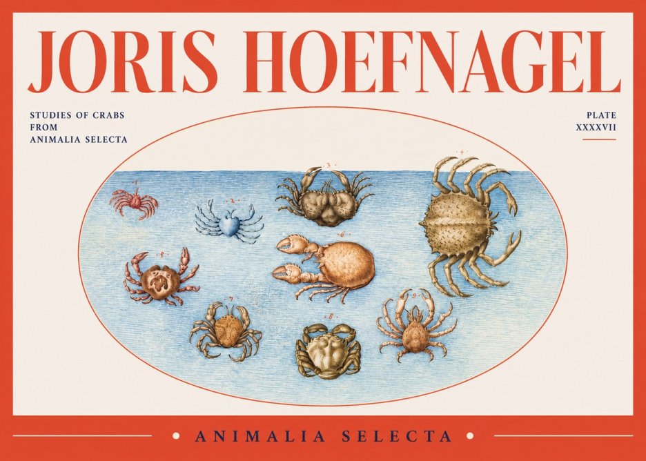 Joris Hoefnagel Studies of Crabs No2 - Plakát