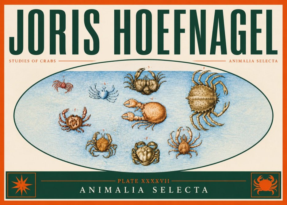 Joris Hoefnagel Studies of Crabs No4 - Plakát