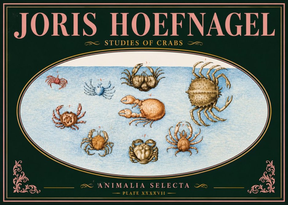 Joris Hoefnagel Studies of Crabs No5 - Plakát