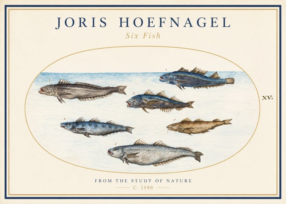 Joris Hoefnagel Six Fish No1 - Plakát