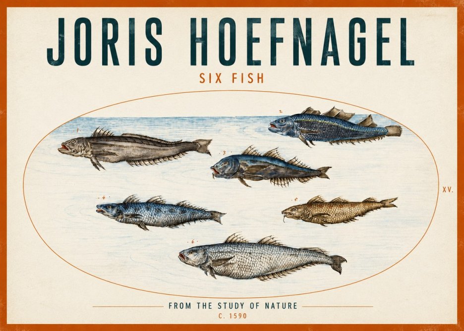 Joris Hoefnagel Six Fish No2 - Plakát
