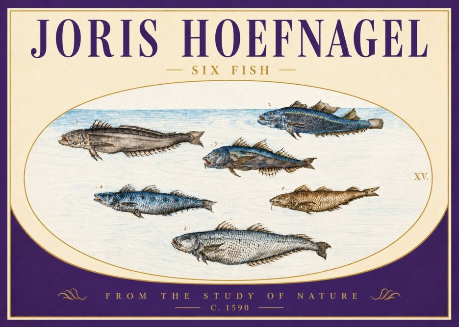 Joris Hoefnagel Six Fish No4 - Plakát