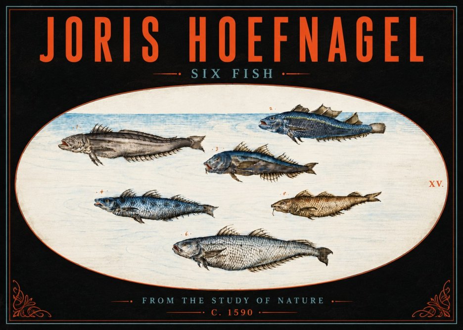 Joris Hoefnagel Six Fish No5 - Plakát