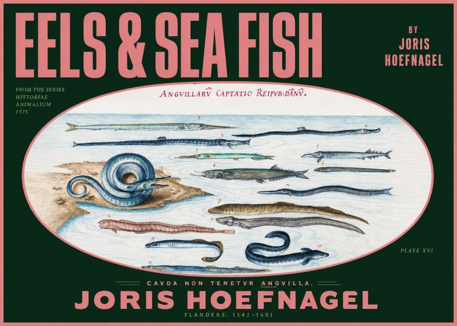 Joris Hoefnagel Eels and Sea Fish No2 - Plakát