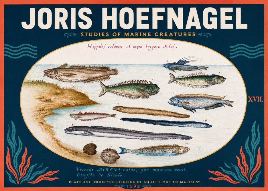 Joris Hoefnagel Plate Xvii from "De Piscibus Et Aquatilibus Animalibus" No2 - Plakát
