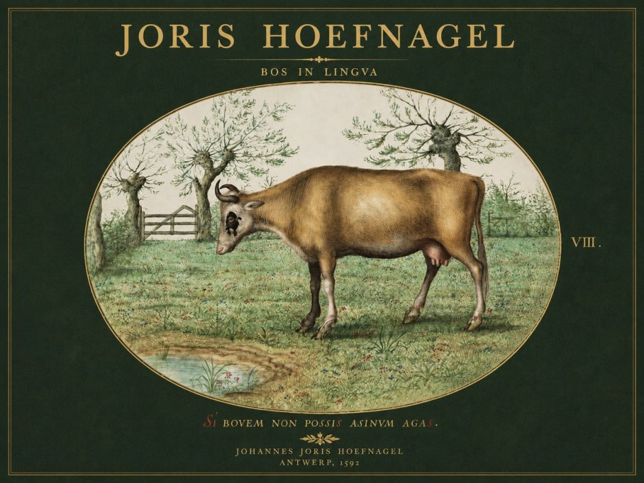 Joris Hoefnagel Bos in Lingva No3 - Plakát