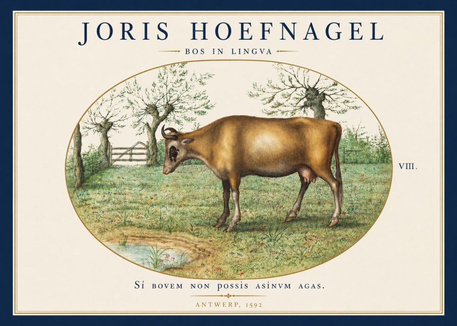 Joris Hoefnagel Bos in Lingva No4 - Plakát
