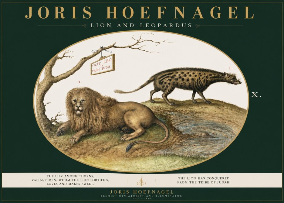 Joris Hoefnagel Lion and Spotted Hyena No3 - Plakát