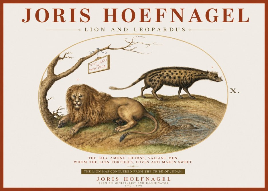 Joris Hoefnagel Lion and Spotted Hyena No4 - Plakát