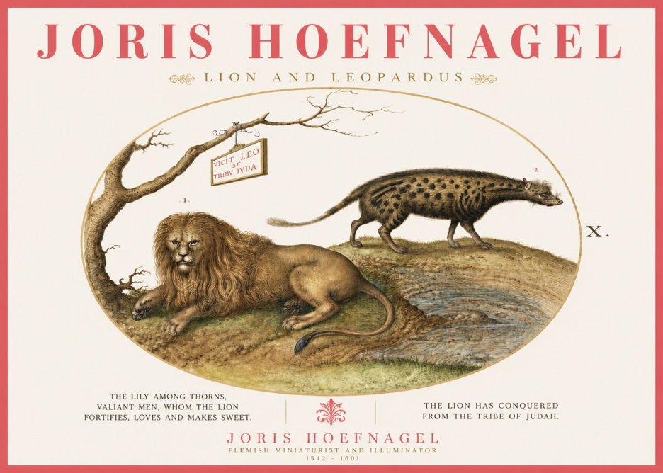 Joris Hoefnagel Lion and Spotted Hyena No6 - Plakát