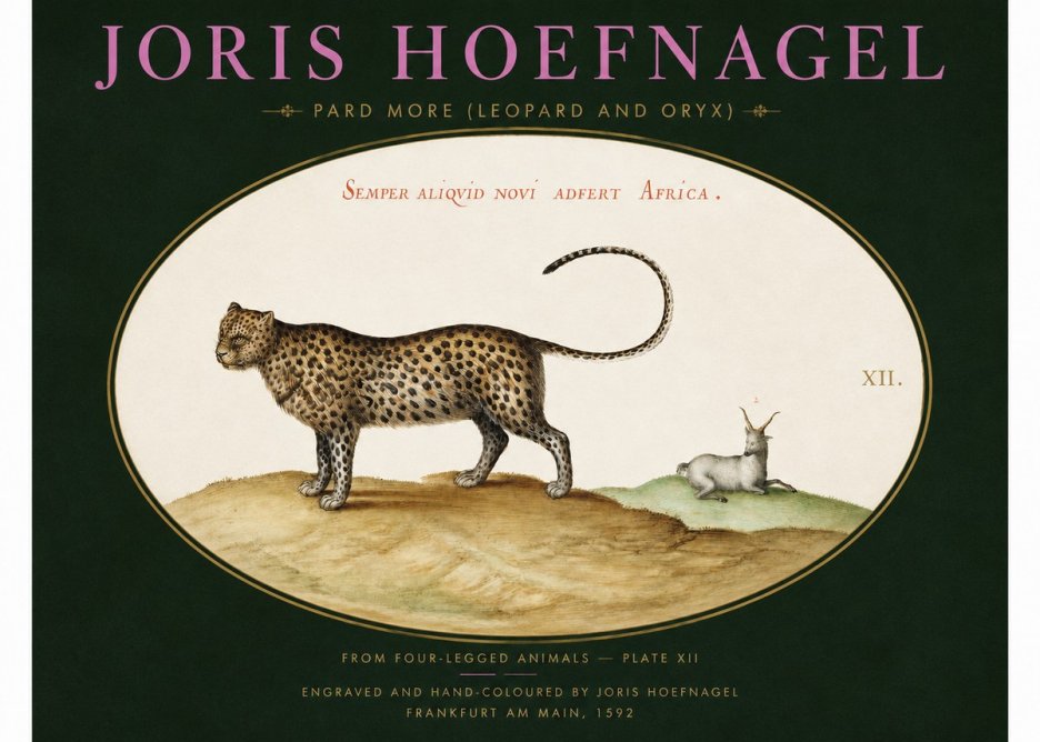 Joris Hoefnagel Pard More (Leopard and Oryx) No2 - Plakát