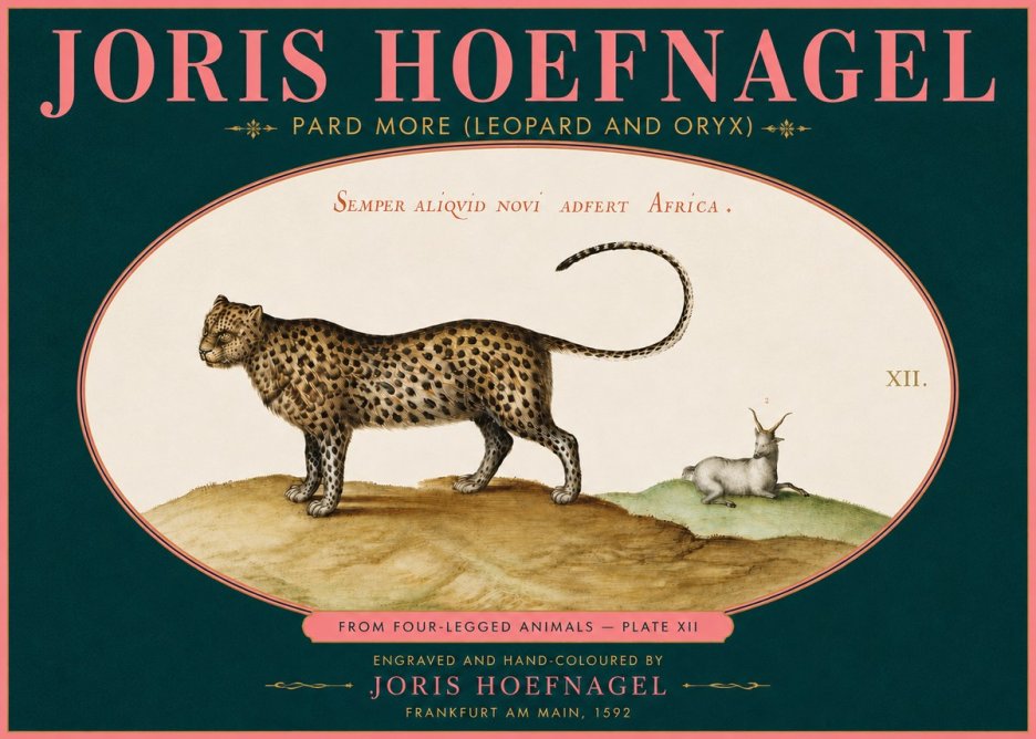 Joris Hoefnagel Pard More (Leopard and Oryx) No5 - Plakát