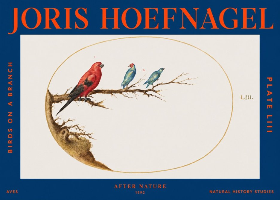 Joris Hoefnagel Birds on a Branch No3 - Plakát
