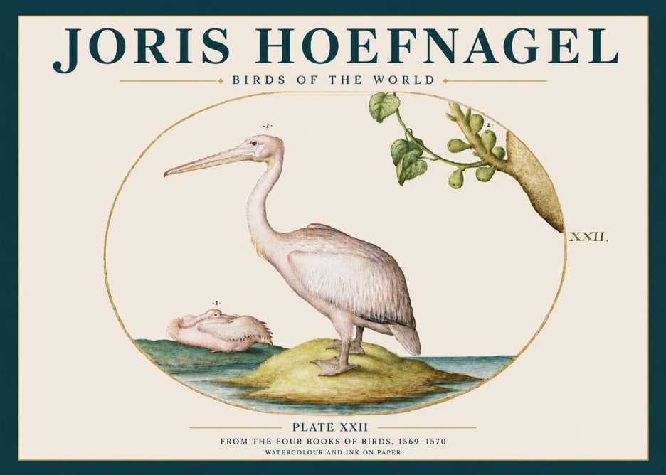 Joris Hoefnagel Plate Xxii No3 - Plakát
