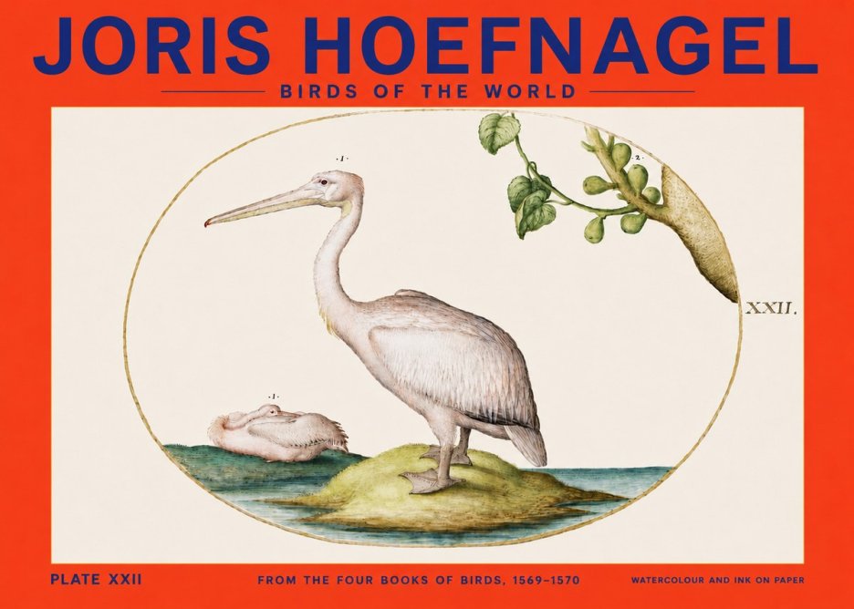 Joris Hoefnagel Plate Xxii No4 - Plakát