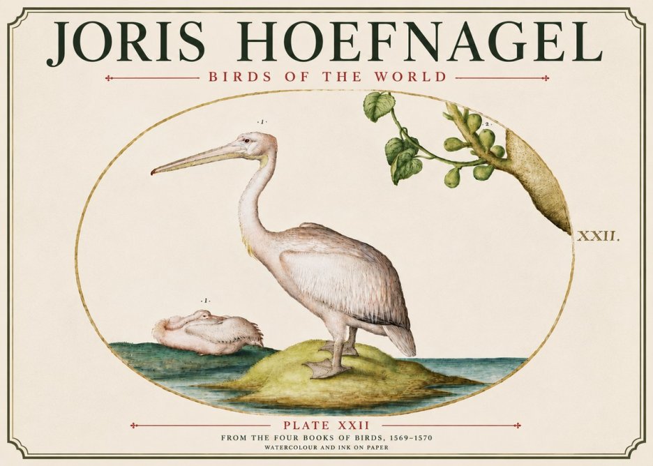 Joris Hoefnagel Plate Xxii No6 - Plakát