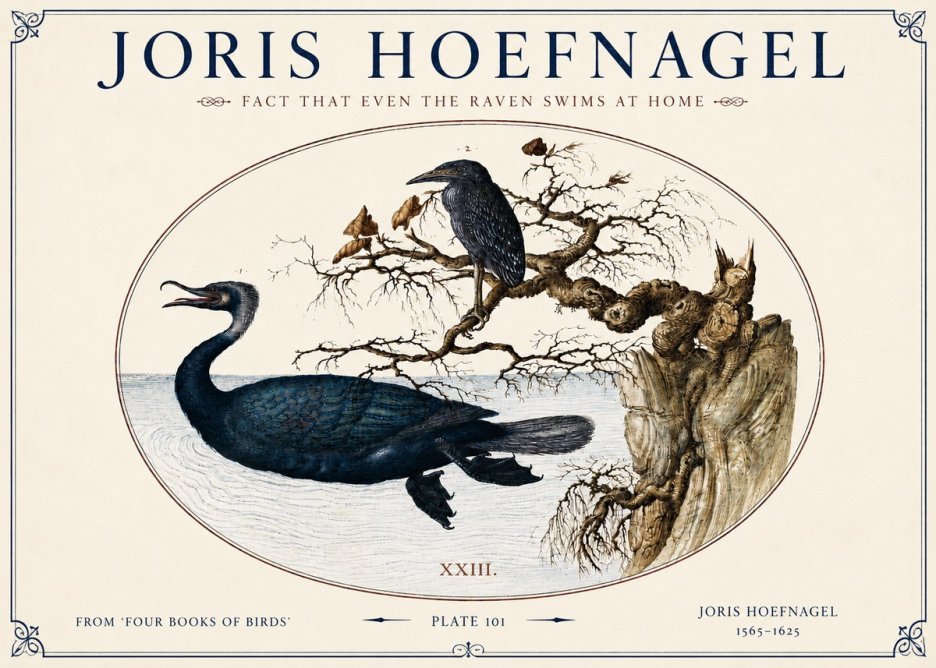Joris Hoefnagel Fact That Even the Raven Swims at Home No4 - Plakát