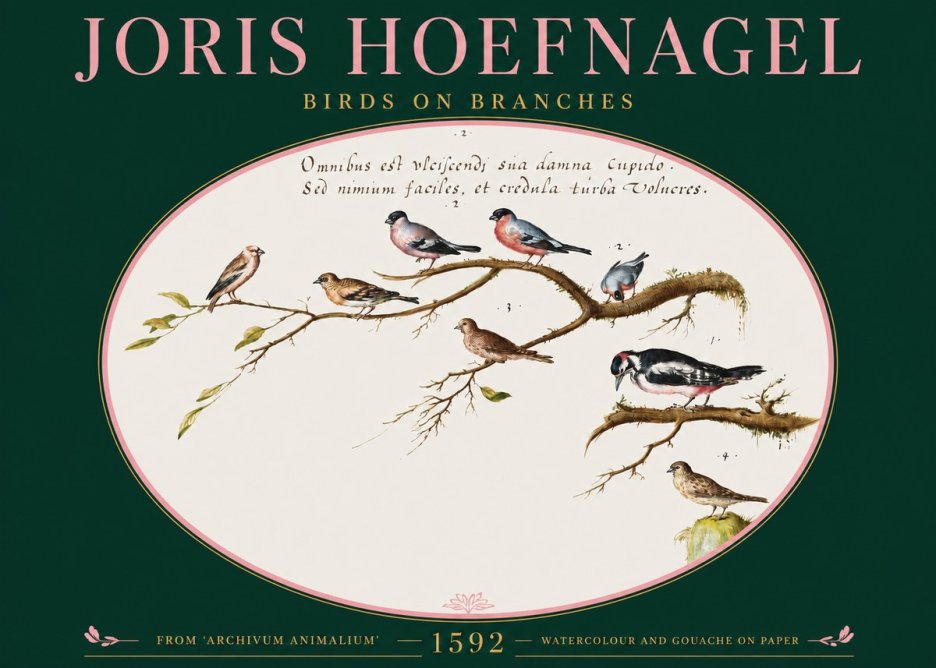 Joris Hoefnagel Birds on Branches No2 - Plakát