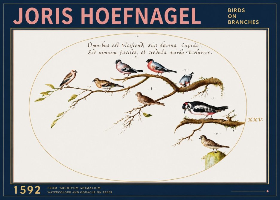 Joris Hoefnagel Birds on Branches No3 - Plakát