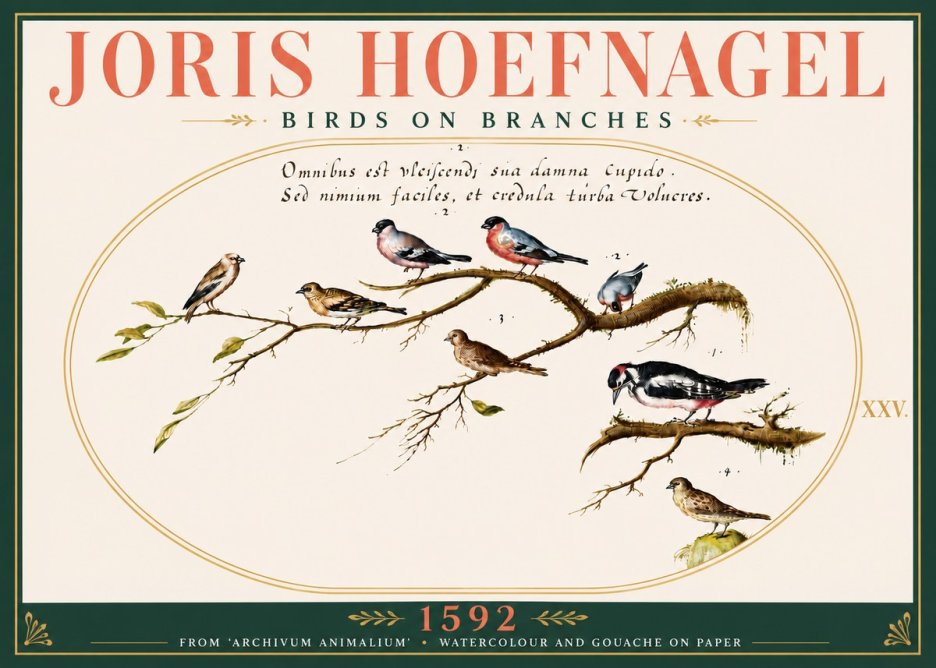 Joris Hoefnagel Birds on Branches No6 - Plakát