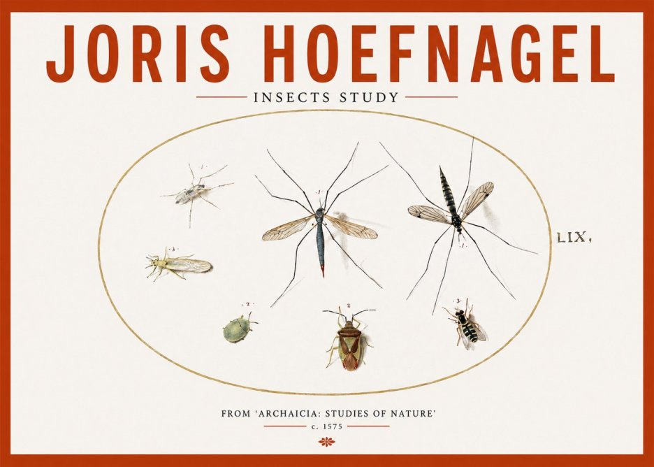 Joris Hoefnagel Insects Study I No2 - Plakát