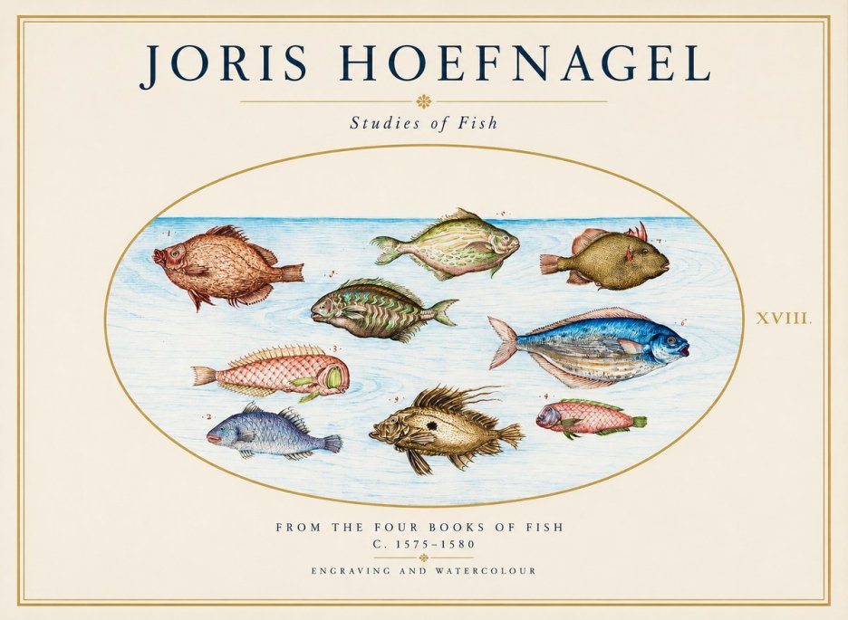 Joris Hoefnagel Studies of Fish I No1 - Plakát