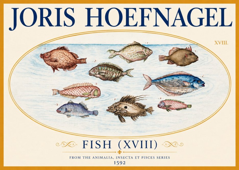 Joris Hoefnagel Studies of Fish I No4 - Plakát