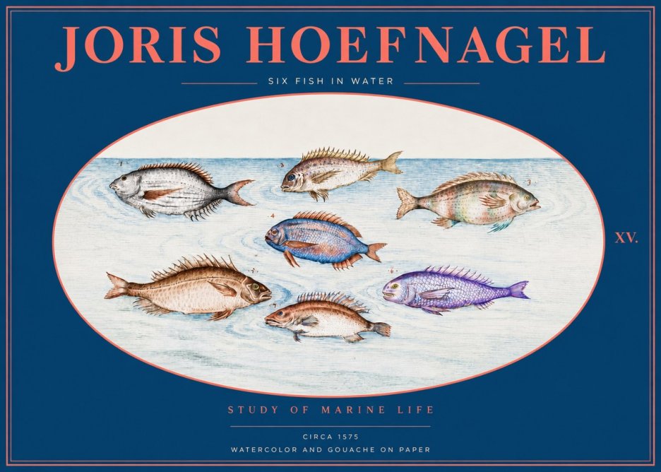 Joris Hoefnagel Six Fish in Water No2 - Plakát