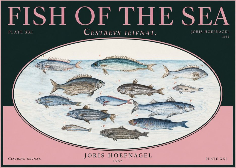 Joris Hoefnagel Fish of the Sea - Cestrevs Ieivnat. Plate Xxi No2 - Plakát