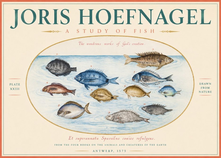 Joris Hoefnagel A Study of Fish No3 - Plakát