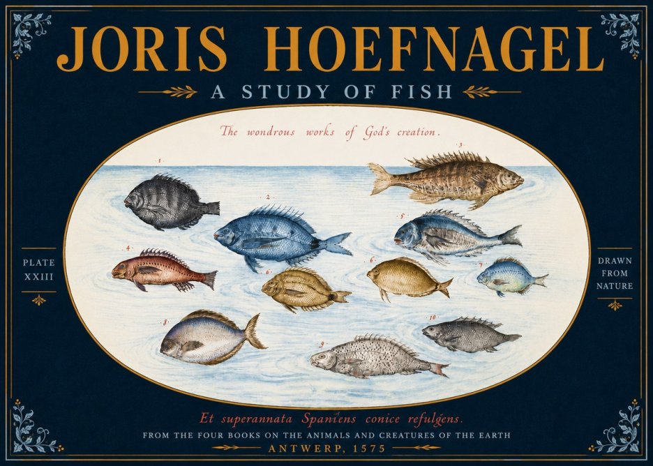 Joris Hoefnagel A Study of Fish No5 - Plakát