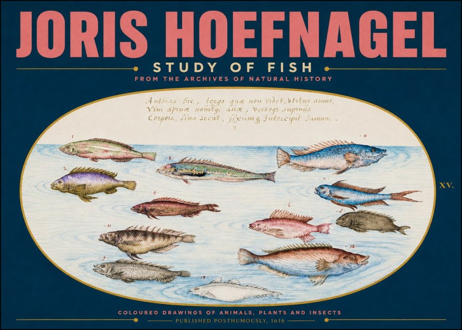 Joris Hoefnagel Study of Fish No4 - Plakát