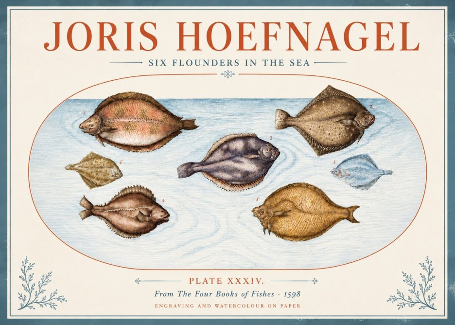 Joris Hoefnagel Six Flounders in the Sea No4 - Plakát