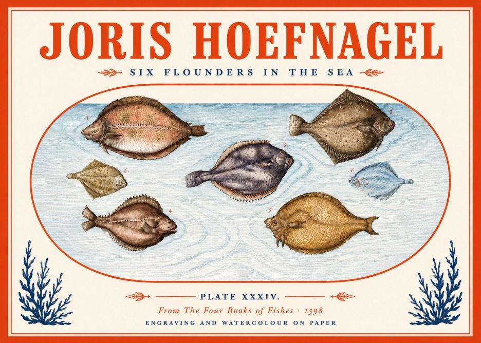 Joris Hoefnagel Six Flounders in the Sea No5 - Plakát