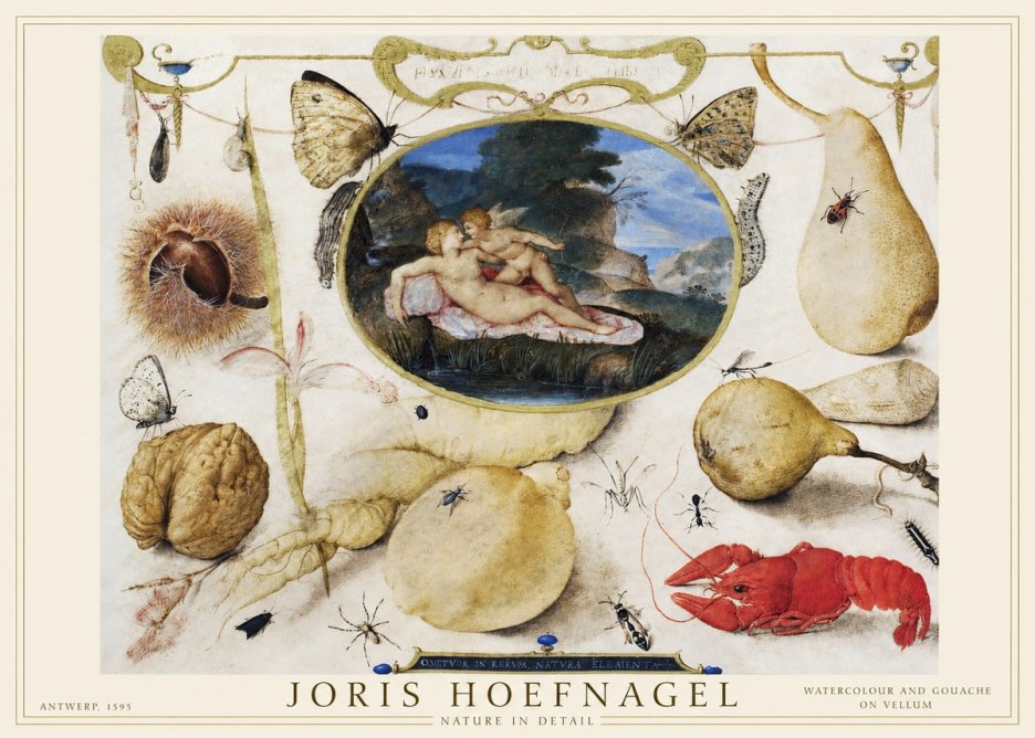 Joris Hoefnagel Nature in Detail No1 - Plakát