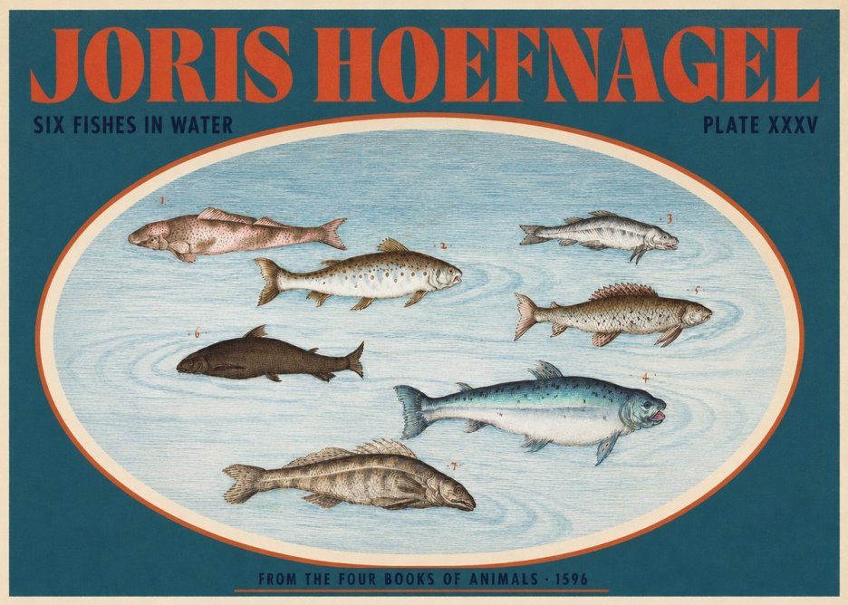 Joris Hoefnagel Six Fishes in Water I No2 - Plakát
