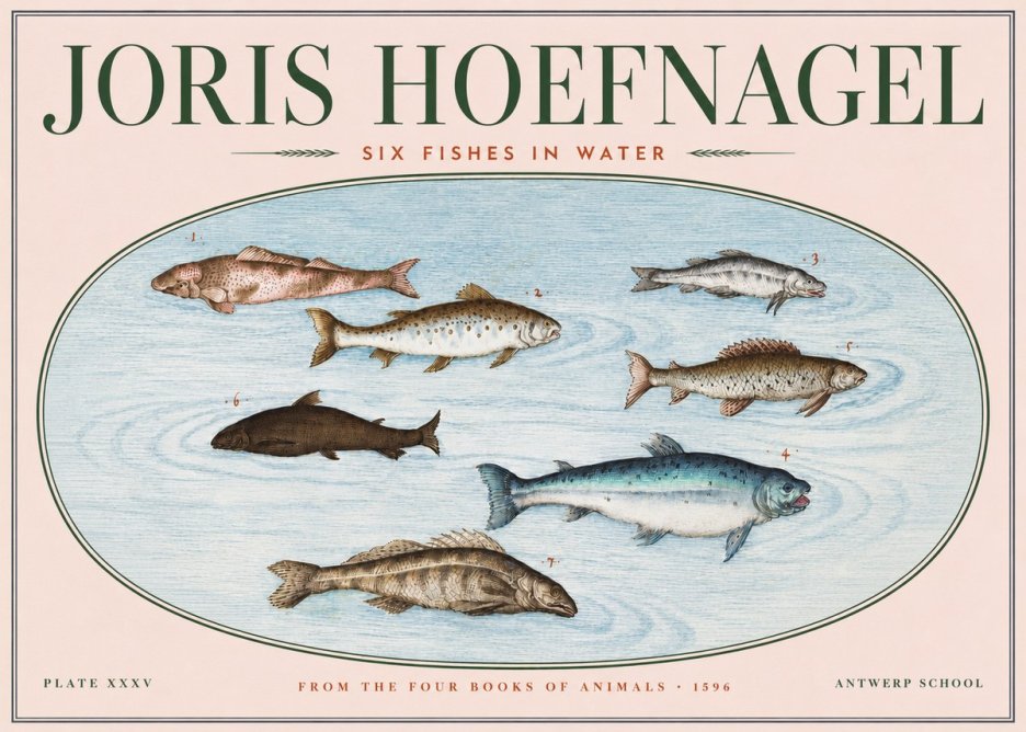 Joris Hoefnagel Six Fishes in Water I No3 - Plakát